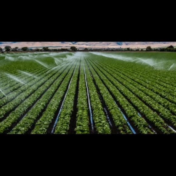 Meet your Posher, Marisol - Picture 1 of 1